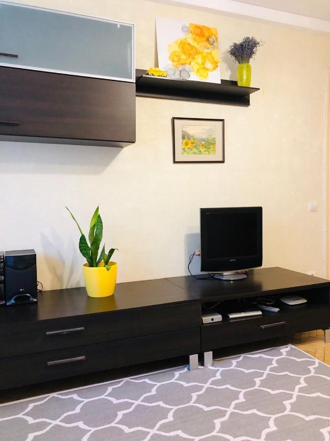 Sunflower Apartment Near Kiev Airport & Railway Station & Center City! Bagian luar foto